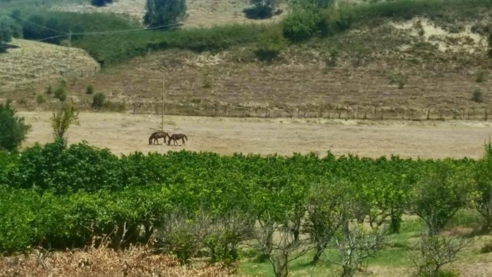 La Dimora Degli Artisti Panzió Catanzaro Kültér fotó